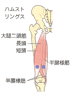 ストレッチ ジャック ナイフ