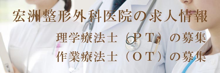 理学療法士、作業療法士の募集